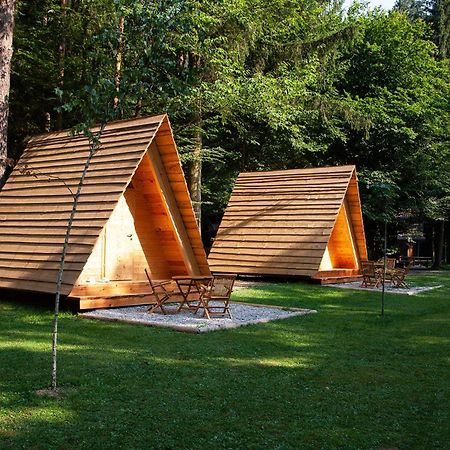 Forest Camping موزيريي المظهر الخارجي الصورة