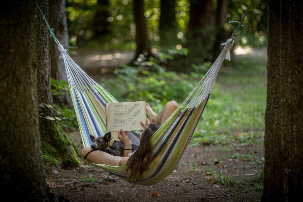 Forest Camping موزيريي المظهر الخارجي الصورة