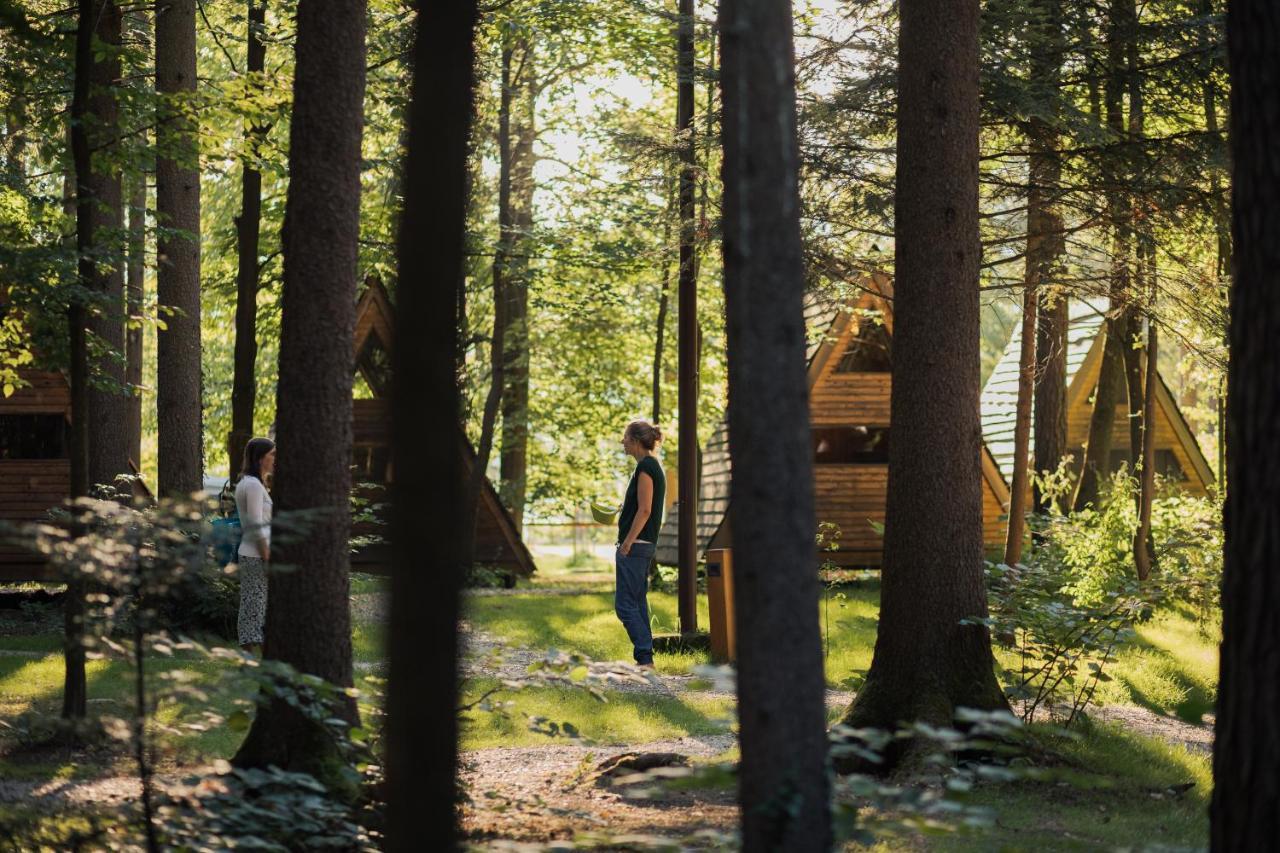 Forest Camping موزيريي المظهر الخارجي الصورة