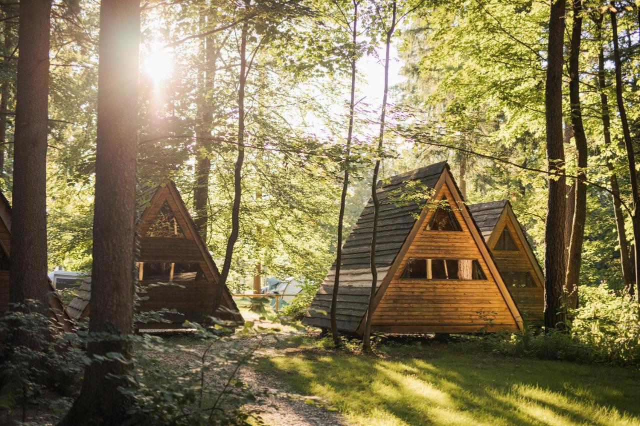Forest Camping موزيريي المظهر الخارجي الصورة