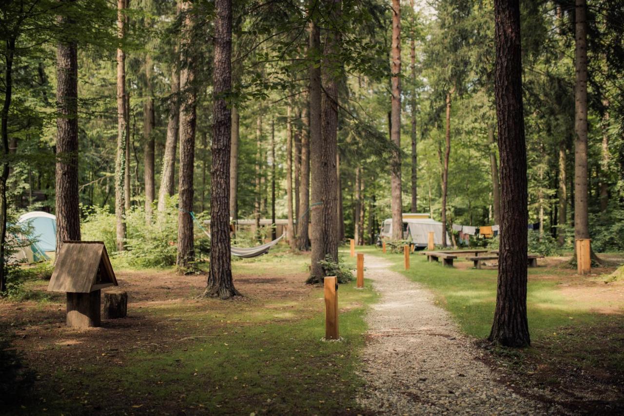Forest Camping موزيريي المظهر الخارجي الصورة